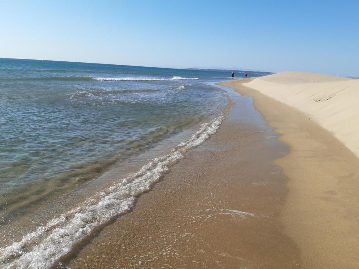 شقة بورت-لا-نوفيل  في Face A La Mer المظهر الخارجي الصورة